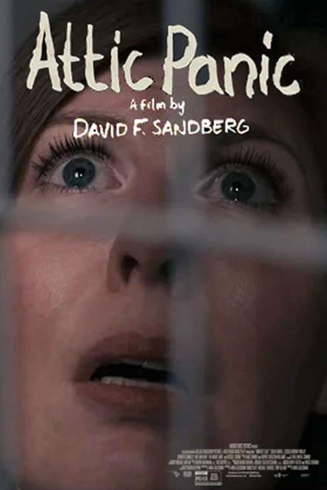 Attic Panic (2015) movie poster