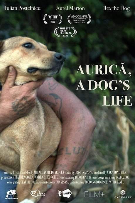 Aurica, a Dog’s Life (2022) movie poster