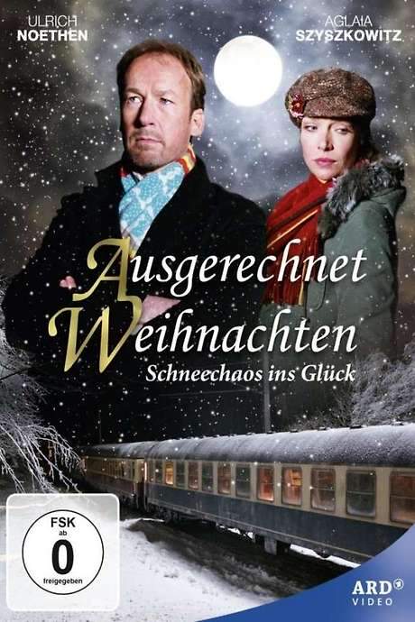 Ausgerechnet Weihnachten (2005) movie poster