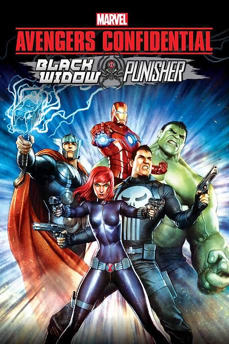 Avengers Confidential: Black Widow & Punisher (2014) movie poster