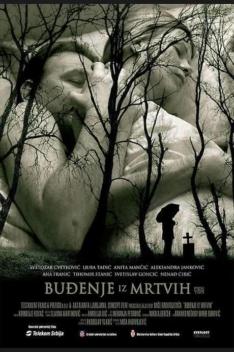 Awakening from the Dead (2005) movie poster
