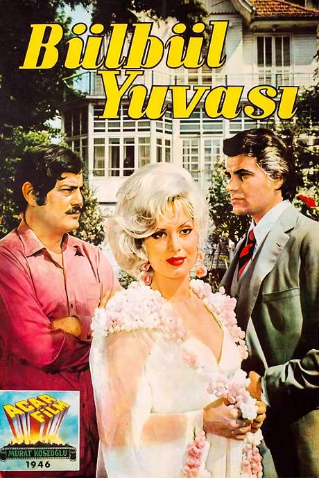 Bülbül Yuvası (1970) movie poster