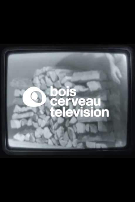 BOIS CERVEAU TV (1) (2020) movie poster