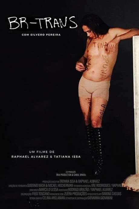 BR Trans (2021) movie poster