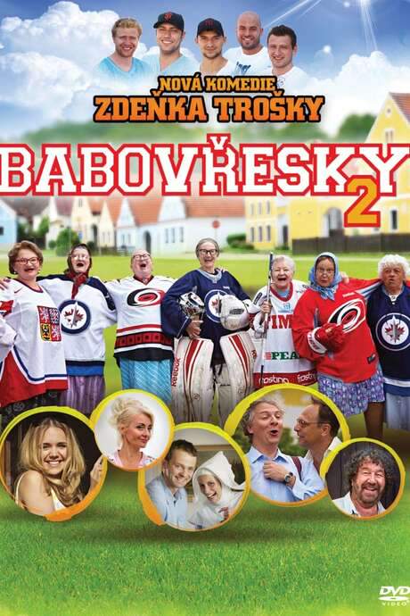 Babovřesky 2 (2014) movie poster