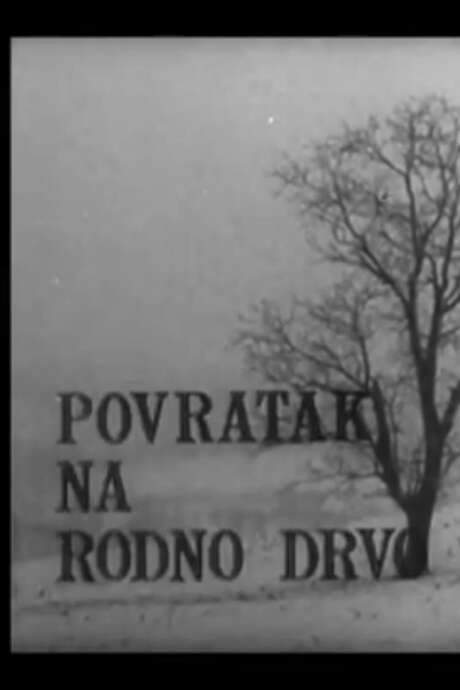 Back to His Native Woods (1968) movie poster