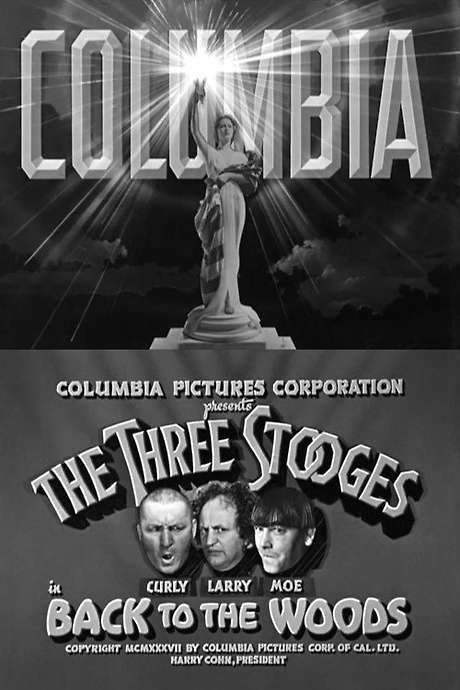 Back to the Woods (1937) movie poster