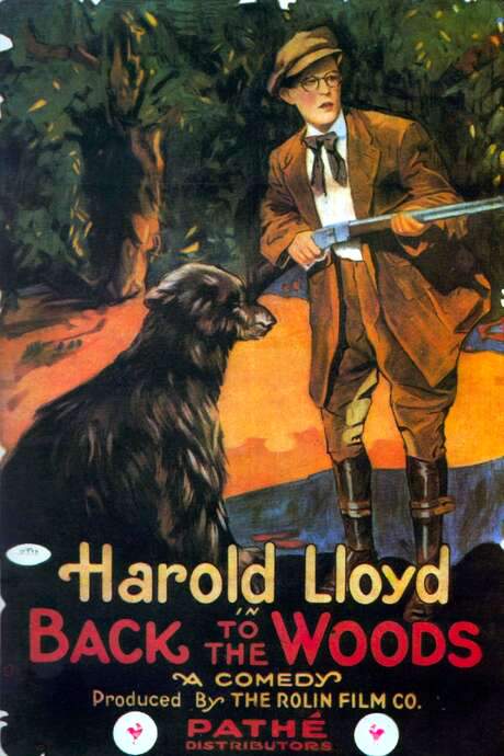 Back to the Woods (1919) movie poster