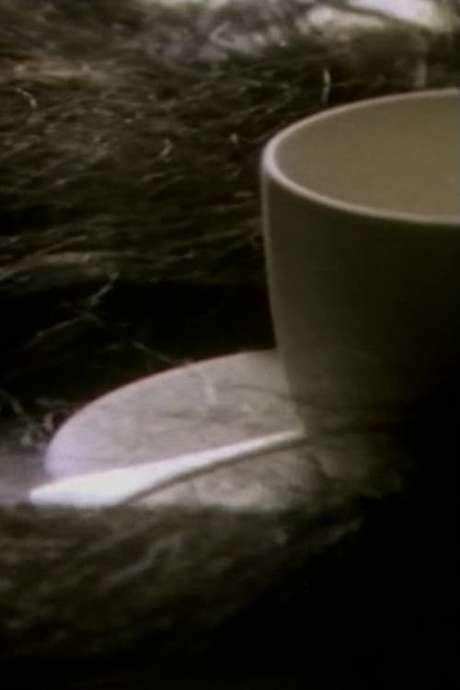 Within a domestic setting, demonic forces emerge through two of femininity’s gentlest symbols—hair and embroidery—to create a sexualized surrealist experience. In the cramped confines of a table layout, a pulsating mass of hair slithers, probes vessels, tears the fabric, and ultimately overturns order, crashing everything to the floor.