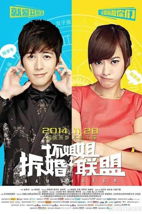 Bad Sister (2014) movie poster
