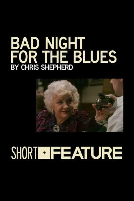 Bad Night for the Blues (2010) movie poster