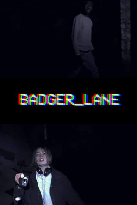 Badger Lane (2016) movie poster