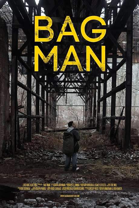 Bag Man (2014) movie poster