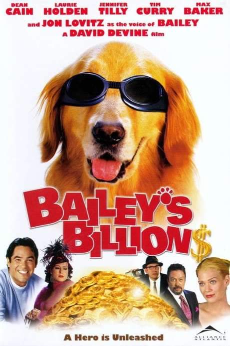 Bailey’s Billion$ (2005) movie poster
