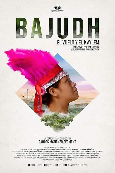 A Tének girl dreams of mastering the Bixom T’iw, the Dance of the Sparrowhawk, and becoming the first woman permitted to fly. She faces fierce resistance and a society that reserves flight for men, fighting through personal struggle and cultural barriers to achieve her vision.