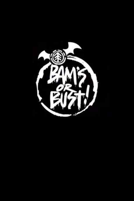 Bam’s or Bust! (2008) movie poster