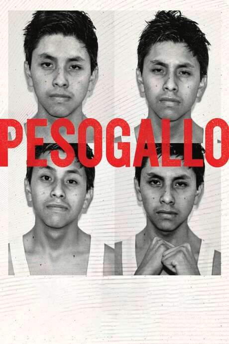 Enrique, a teenage boxer living with his grandmother in Huancayo, is selected to represent his city at a national championship. As he balances grueling training with travel preparations, he discovers that the battle for his aspirations extends far beyond the boxing ring.