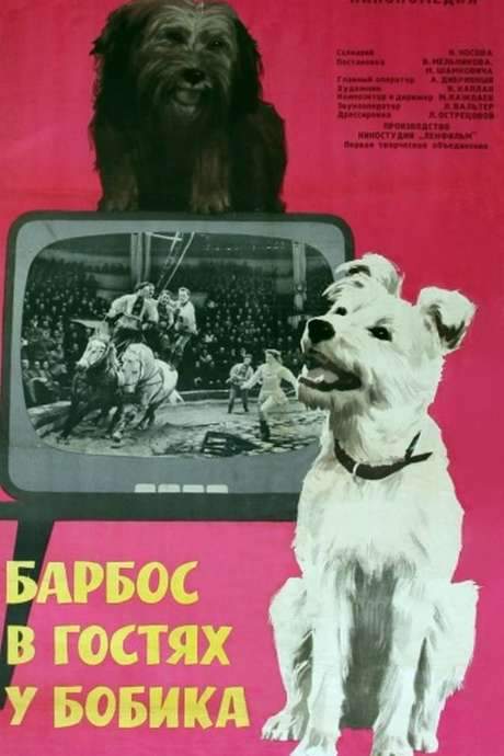 Barbos Visiting Bobik (1965) movie poster
