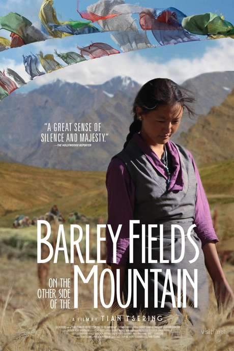 Barley Fields on the Other Side of the Mountain (2017) movie poster