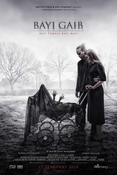 Bayi Gaib: Bayi Tumbal Bayi Mati (2018) movie poster