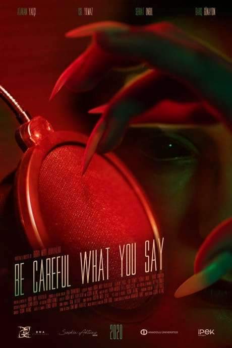 Be Careful What You Say (2020) movie poster