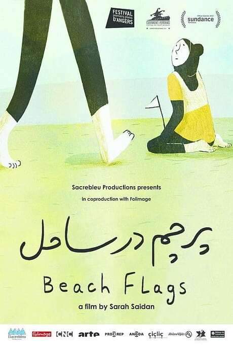 Beach Flags (2014) movie poster