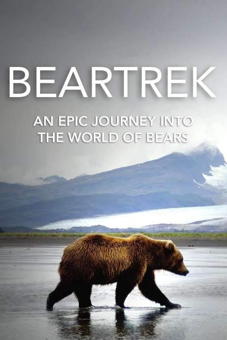 This is a conservation story following adventurer and biologist Chris Morgan on an engaging journey to locate the world’s most elusive and endangered bear species. The film explores the challenges these animals face in the wild, introduces the passionate individuals working to protect them, and highlights the urgent need to safeguard bear habitats and ensure their survival.