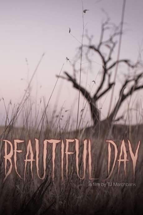 Beautiful Day (2020) movie poster