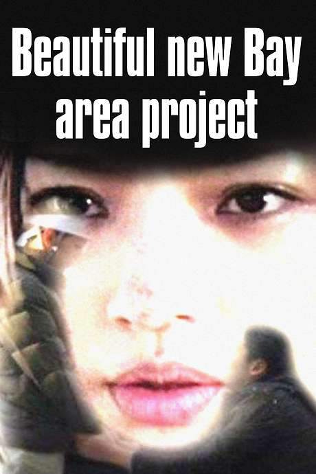 Beautiful New Bay Area Project (2013) movie poster