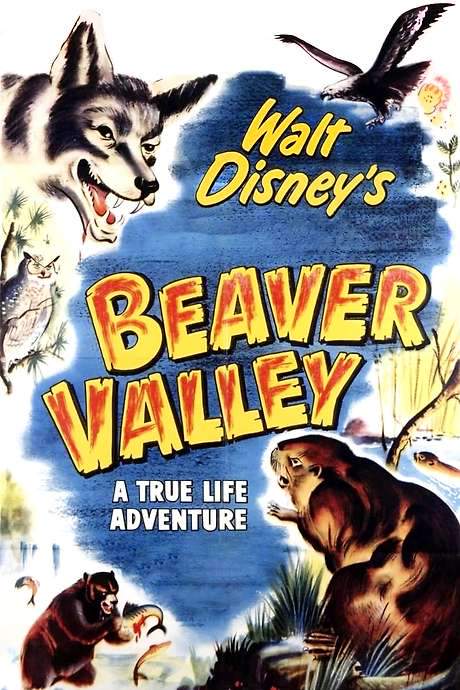 Beaver Valley (1950) movie poster