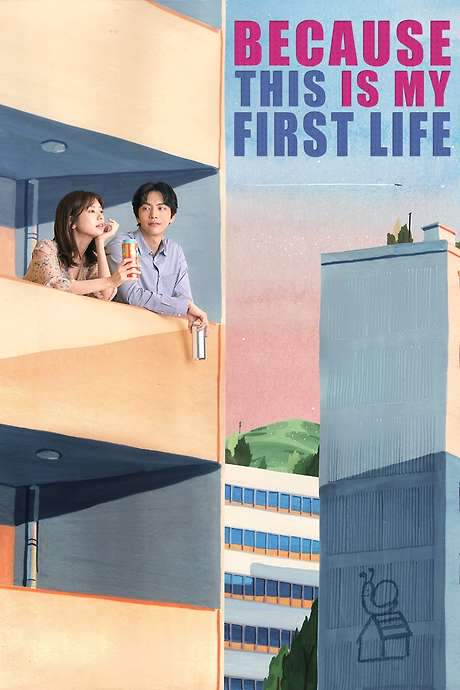 Because This Is My First Life (2017) movie poster