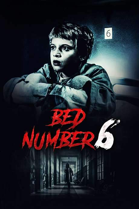Bed Number 6 (2019) movie poster
