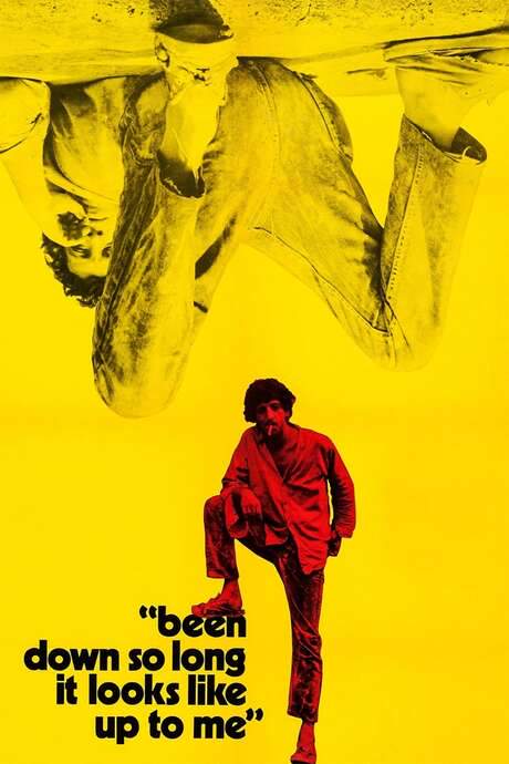 Been Down So Long It Looks Like Up to Me (1971) movie poster