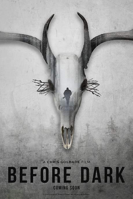 Before Dark (2023) movie poster