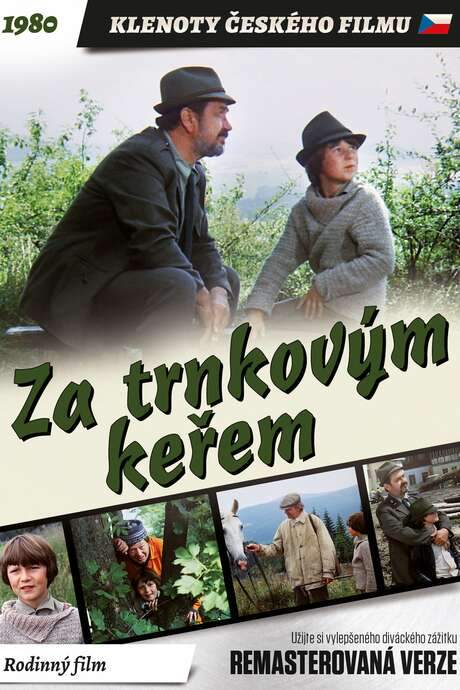 Behind the Sloe-Bush (1981) movie poster