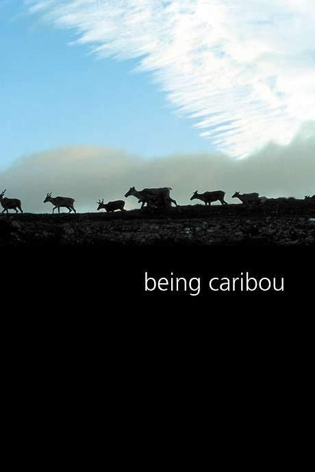 Being Caribou (2005) movie poster