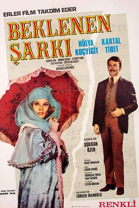 Beklenen Şarkı (1971) movie poster