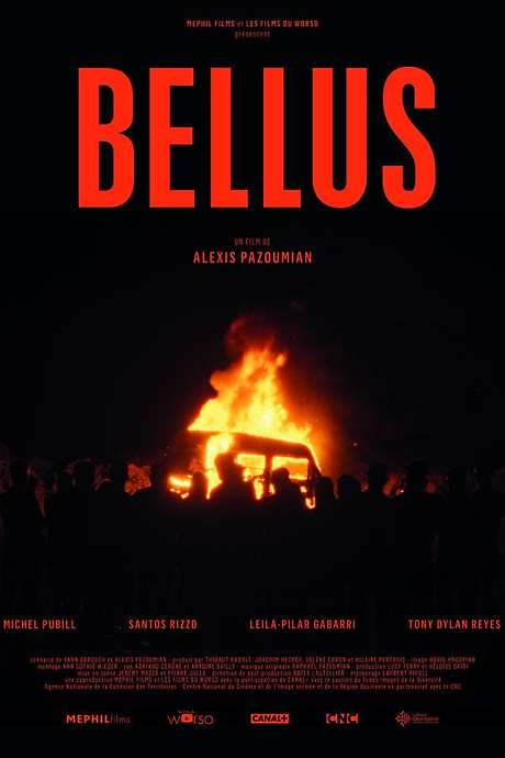 Bellus