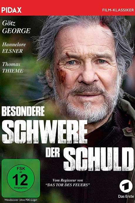 Besondere Schwere der Schuld (2014) movie poster