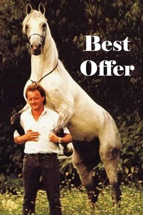 Best Offer (1993) movie poster