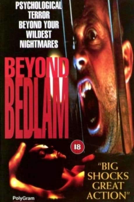 Beyond Bedlam (1994) movie poster