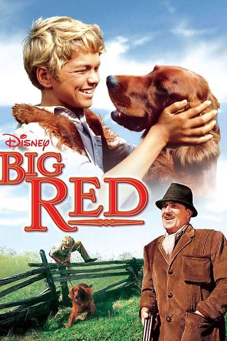 Big Red (1962) movie poster