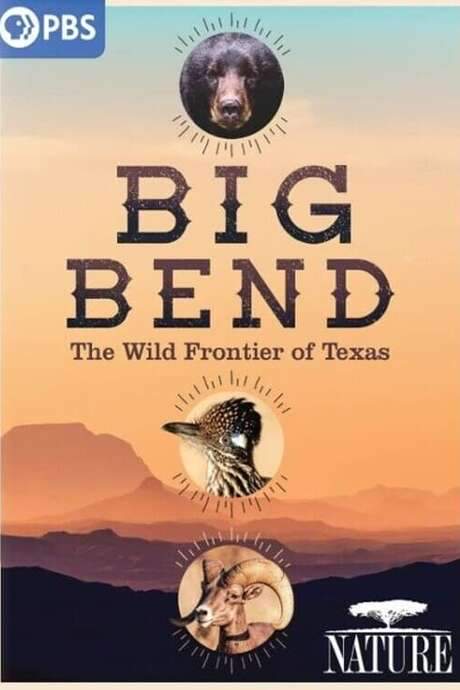 Big Bend: The Wild Frontier of Texas (2021) movie poster