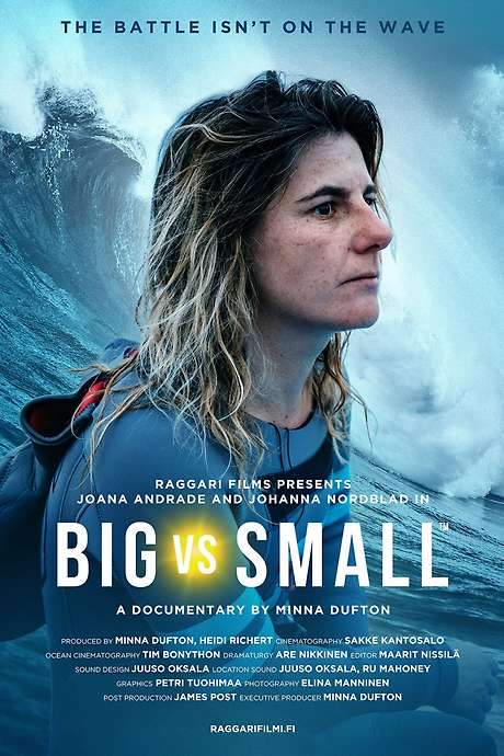 Big vs. Small (2020) movie poster