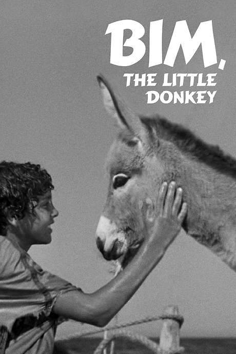 Bim, the Little Donkey (1951) movie poster