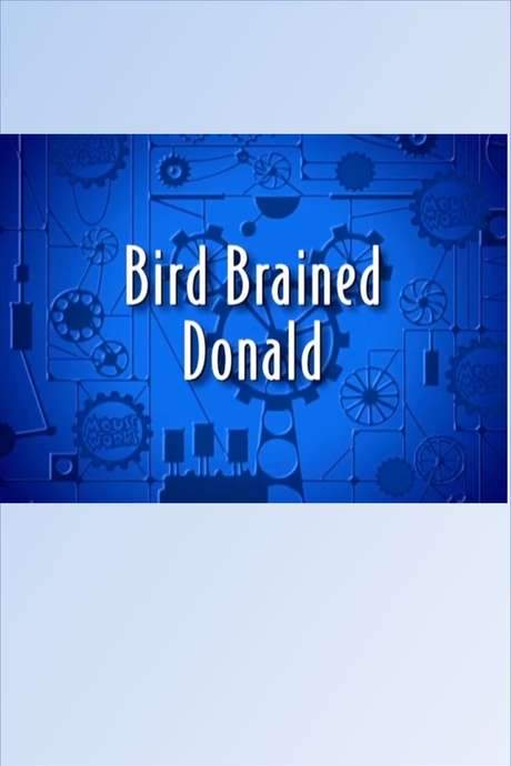 Bird Brained Donald (2000) movie poster