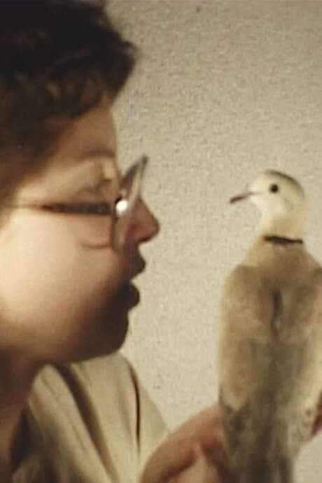 A woman connects with her blind pet dove.