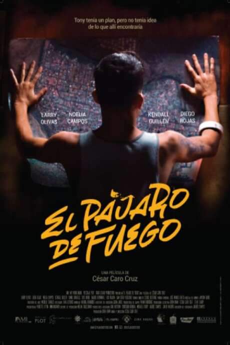 Bird of Fire (2021) movie poster