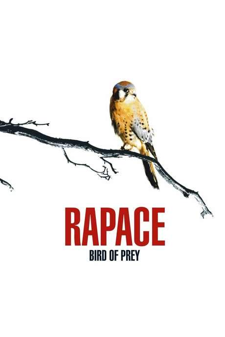 Bird of Prey (2006) movie poster