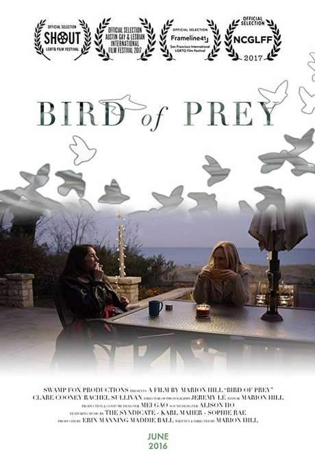 Bird of Prey (2016) movie poster